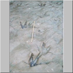 100_0567 (2009-26-07)m.JPG